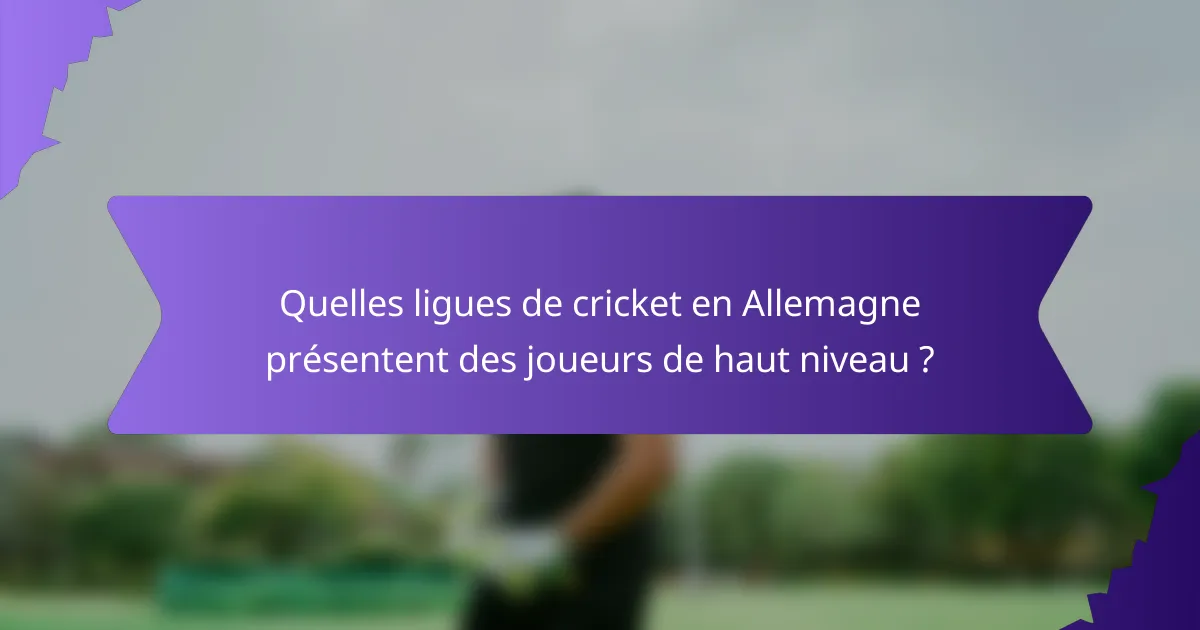 Quelles ligues de cricket en Allemagne présentent des joueurs de haut niveau ?